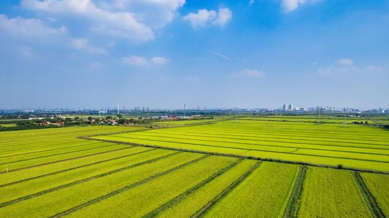 农业种植加盟，设备清单揭秘：从选型到应用**