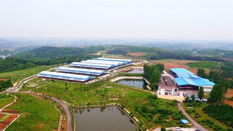 温室种植技术标准：全面解析与下载指南**