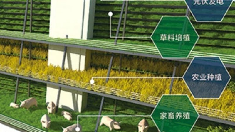 农业合作社加盟盈利分析：揭秘合作社盈利模式与风险规避