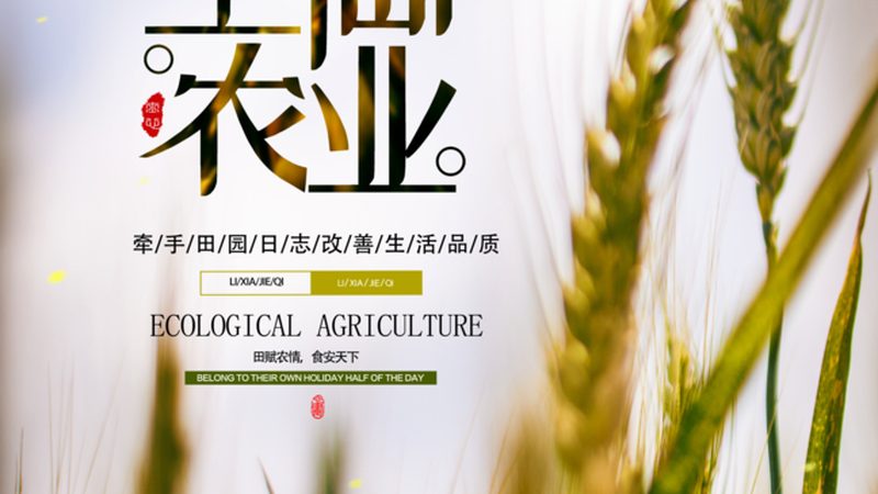 水肥一体化设备参数对比
