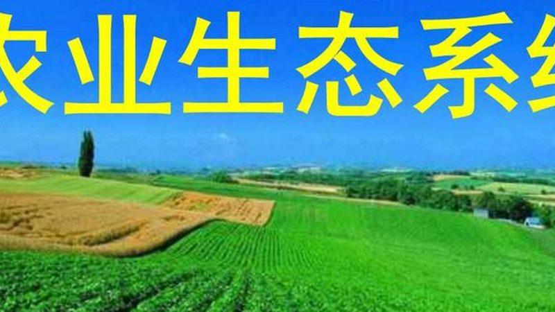 设施农业物联网项目招标流程全解析