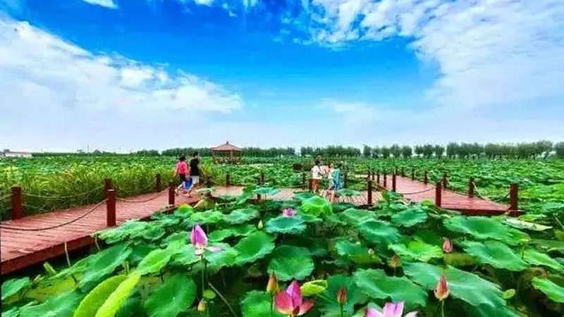 家庭农场补贴申请，如何轻松找到平台入口？**