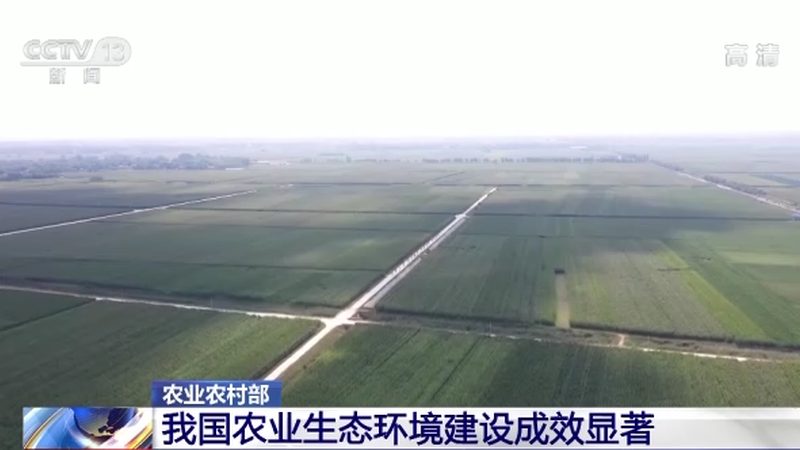 农产品价格行情数据API：农业信息化时代的利器