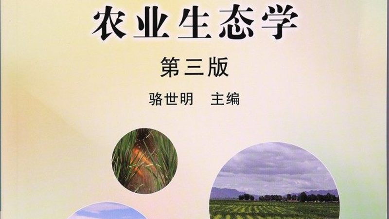山东农产品批发市场：揭秘前十强，背后的故事与趋势