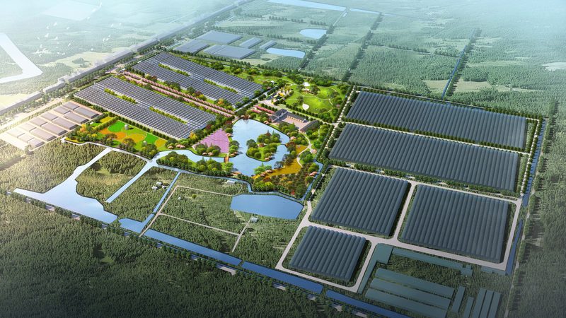 采摘园选址：如何权衡优缺点，打造高效生态农业**
